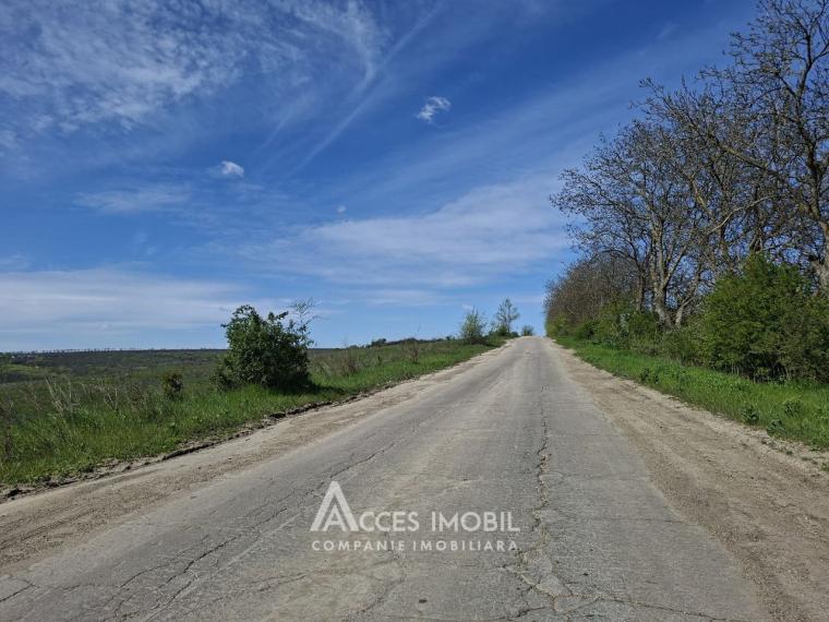 Земельный участок под строительство 7 сот! Тогатин, ул.Хайдучилор!: 3