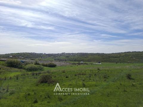 Земельный участок под строительство 7 сот! Тогатин, ул.Хайдучилор!: 4