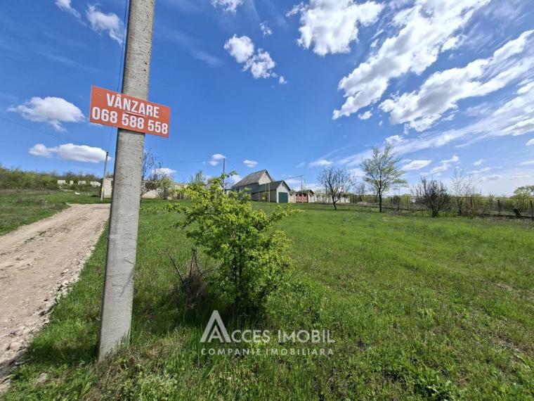 Земельный участок под строительство 12 соток, Бошкана, ул. Каля Басарабией!: 1