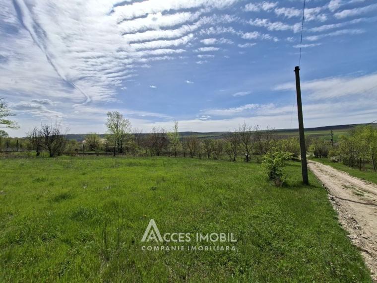 Земельный участок под строительство 12 соток, Бошкана, ул. Каля Басарабией!: 5