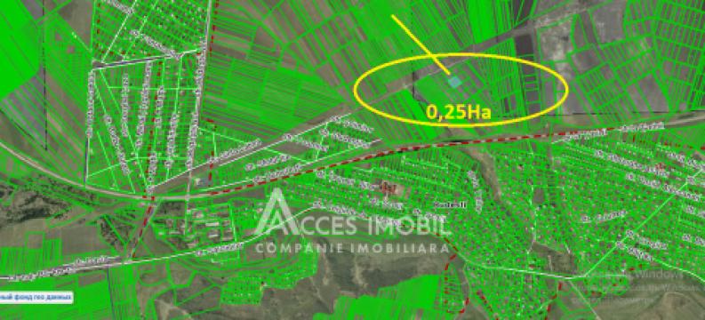 Интравилан сельскохозяйственный участок, M14, 26 соток. Будешты!: 3