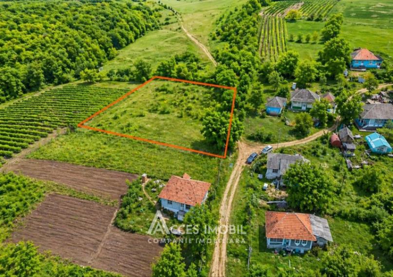 Land for construction 21.47 ares! Orhei, Donici village!: 0