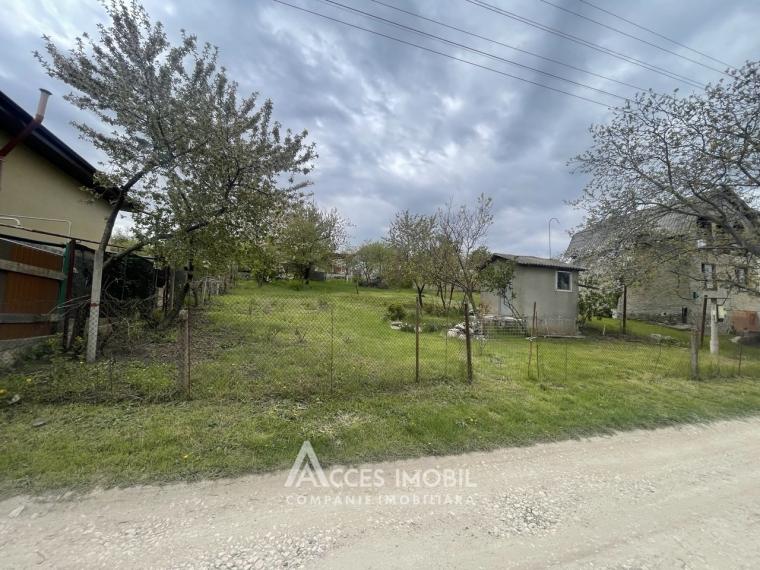 Сельскохозяйственный земельный участок 6 соток! Думбрава, ул. Флорилор!: 0