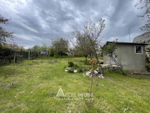 Сельскохозяйственный земельный участок 6 соток! Думбрава, ул. Флорилор!: 2