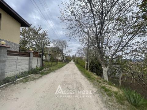 Сельскохозяйственный земельный участок 6 соток! Думбрава, ул. Флорилор!: 3