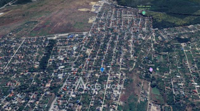 Сельскохозяйственный земельный участок 6 соток! Думбрава, ул. Флорилор!: 4