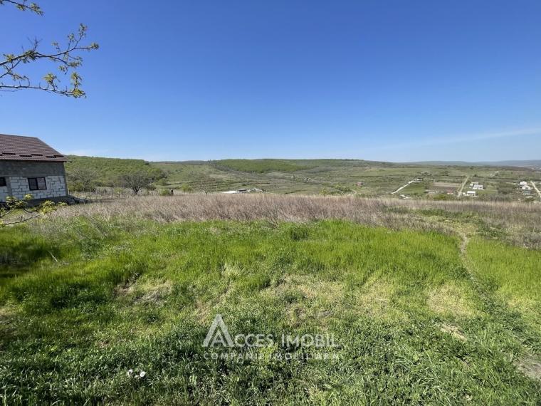 Land for construction! Danceni, Cronicarilor Street, 12 acres!: 0