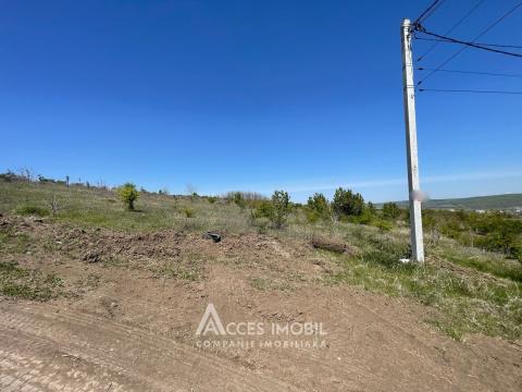 Land for sale in Chisinau: Nimoreni, str. Castanilor