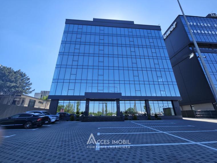 Spații de birouri de închiriat în sectorul Botanica, bd. Dacia – 366 mp!: 0