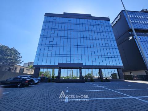 Spații de birouri de închiriat în sectorul Botanica, bd. Dacia – 366 mp!: 0