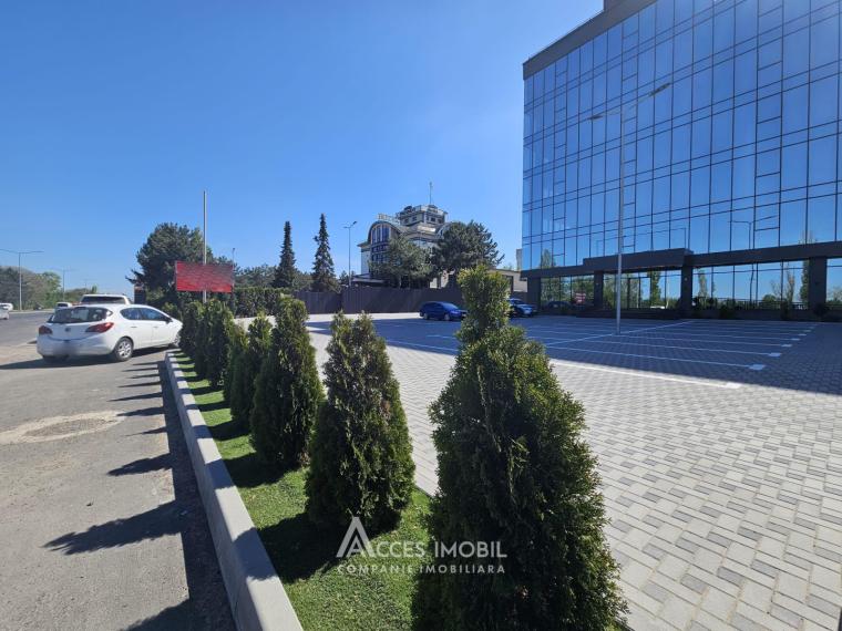Spații de birouri de închiriat în sectorul Botanica, bd. Dacia – 366 mp!: 13