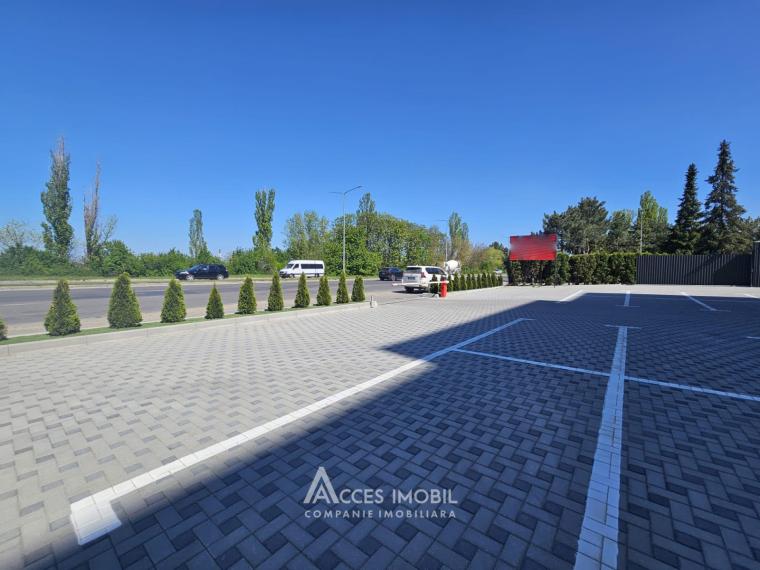 Spații de birouri de închiriat în sectorul Botanica, bd. Dacia – 366 mp!: 14