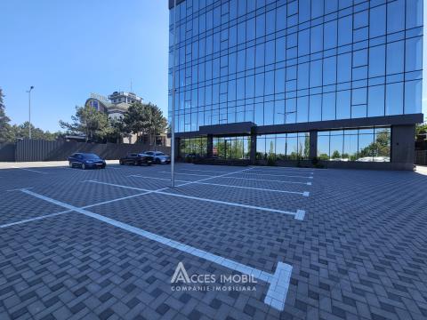Spații de birouri de închiriat în sectorul Botanica, bd. Dacia – 366 mp!: 15