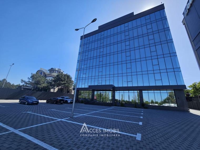 Spații de birouri de închiriat în sectorul Botanica, bd. Dacia – 366 mp!: 17