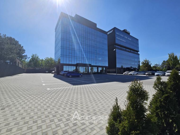 Spații de birouri de închiriat în sectorul Botanica, bd. Dacia – 366 mp!: 18