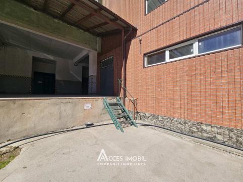 Аренда! Коммерческое помещение! Чеканы, ул. Отоваска, 392m2!: 6