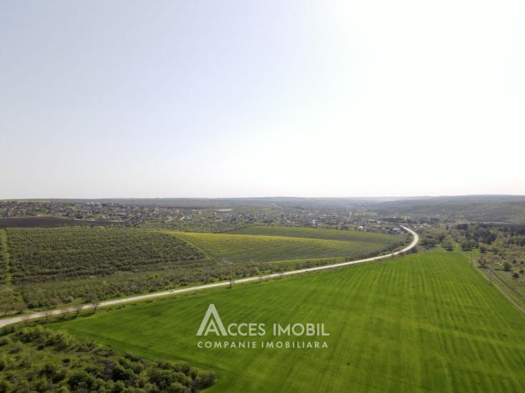Teren agricol intravilan 50 ari! Tohatin, traseul M14!: 2