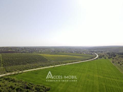 Teren agricol intravilan 50 ari! Tohatin, traseul M14!: 2