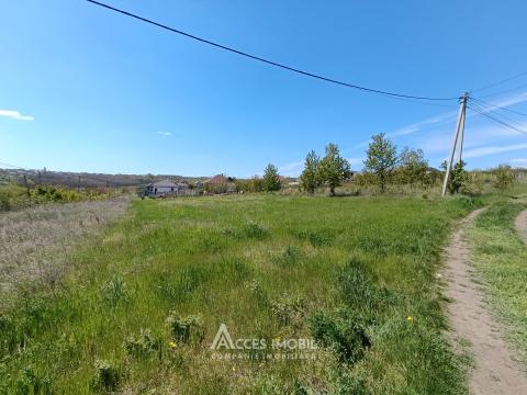 Land for sale in Chisinau: Milestii Mici,Grădinilor street