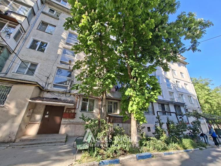 Botanica, Sarmizegetusa street, 2 rooms + living! Euro repair! Middle position!: 15