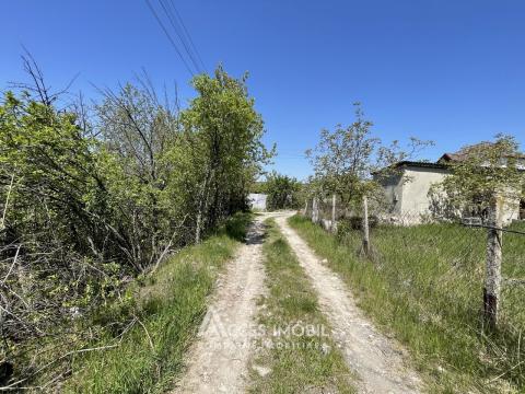 Lot de teren pomicol, 6 ari! Trușeni!: 1