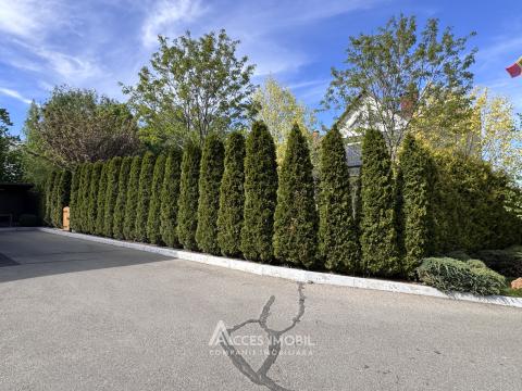 Townhouse on 3 levels! Calea Ieșilor street, Sculeni 220m2 + 3 acres! Eurorepair!: 21