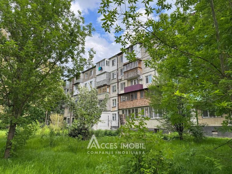Botanica, str. Nikolai Zelinski, 3 camere! Euroreparație!: 7