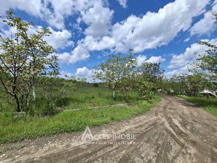 Agricultural plot of 10 acres! Tokhatin, IP "Association!": 2