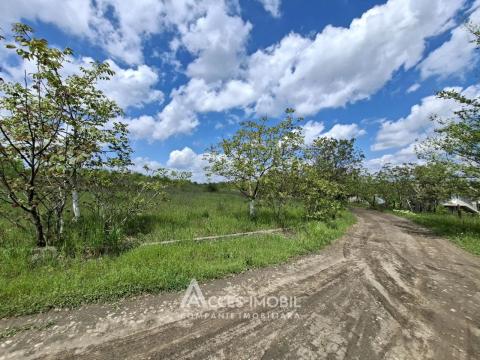 Agricultural plot of 10 acres! Tokhatin, IP "Association!": 2