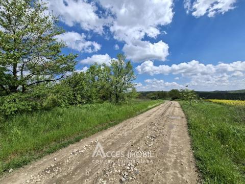 Agricultural plot of 10 acres! Tokhatin, IP "Association!": 3