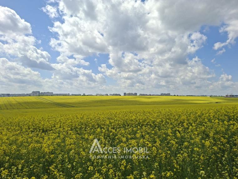 Agricultural plot of 10 acres! Tokhatin, IP "Association!": 0