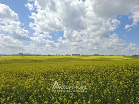 Land for sale in Chisinau: Tohatin, I.P. Associate