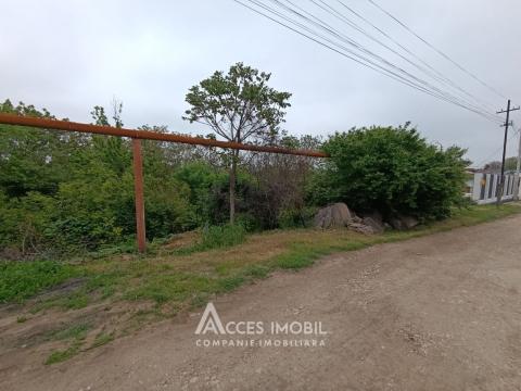 Teren pentru construcții 4 ari + 6 ari în folosință! Codru, str. Izvoarelor!: 1