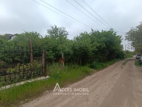 Land for sale in Chisinau: Codru, Ip Vierul