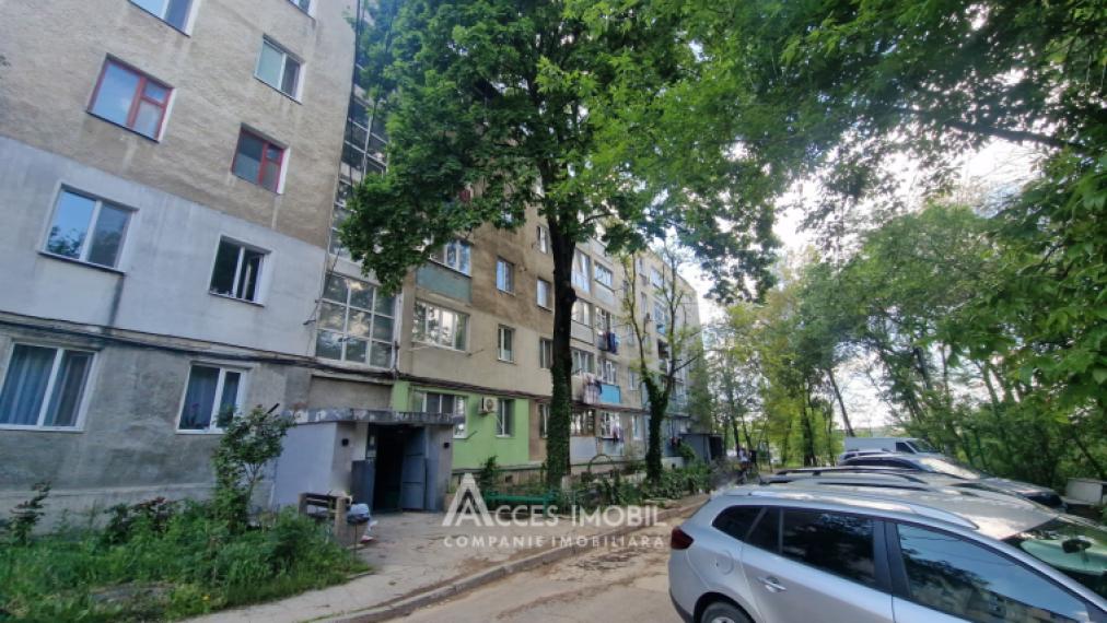 Botanica, str. Salcâmilor, 1 cameră. Euroreparație! De mijloc!: 5