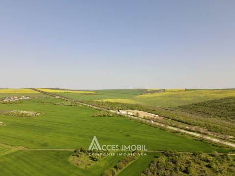 Agricultural Land 21 ares! Tohatin, M14!: 2