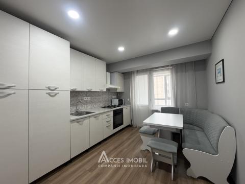 Apartments for rent in Chisinau: Center, N. Testimiteanu street