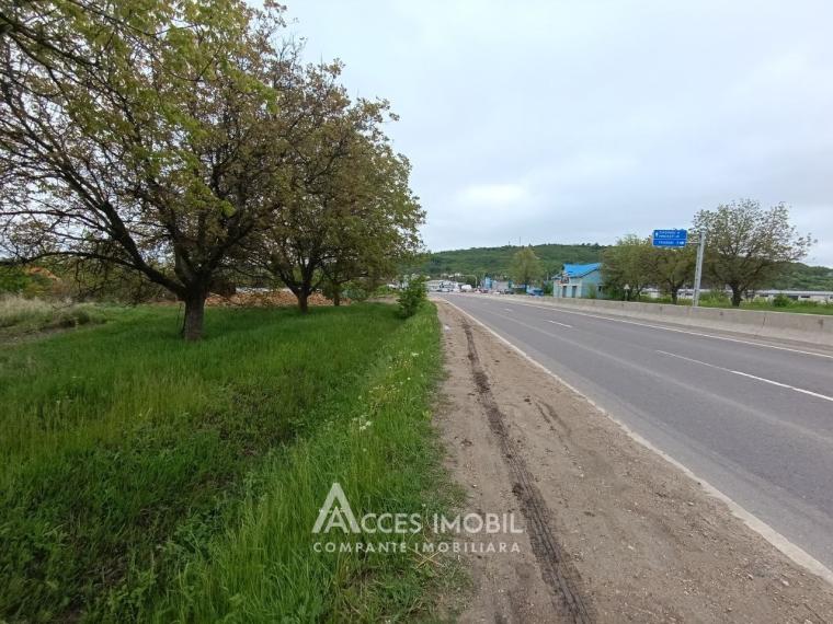 Teren comercial 54 ari! Trușeni, str.Calea Trușenilor!: 0