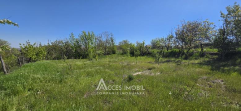 Casă! Pohrebea, str. Pohrebenilor, 86m2 + 16 ari!: 31
