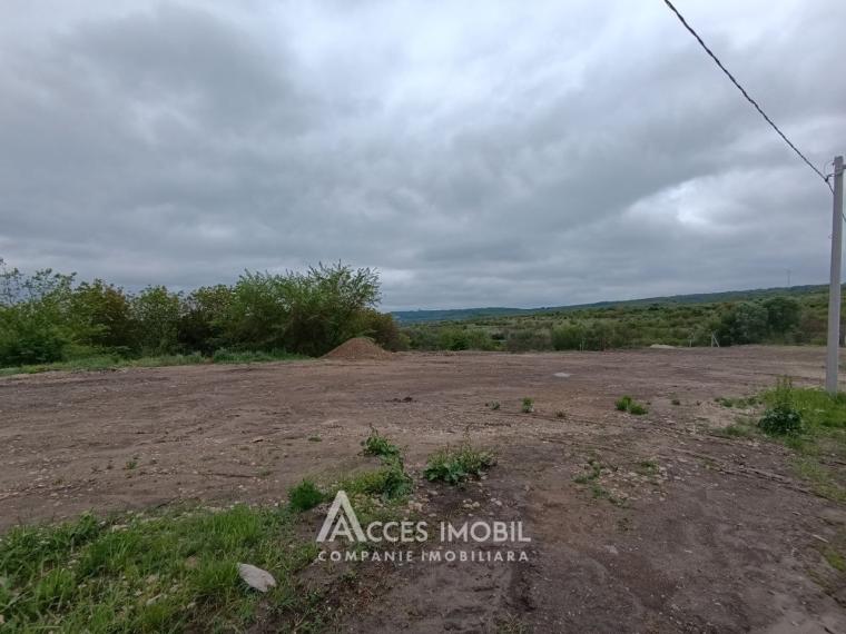 Lot de teren agricol, 40 ari! Trușeni! str. Drumul Vieții: 0