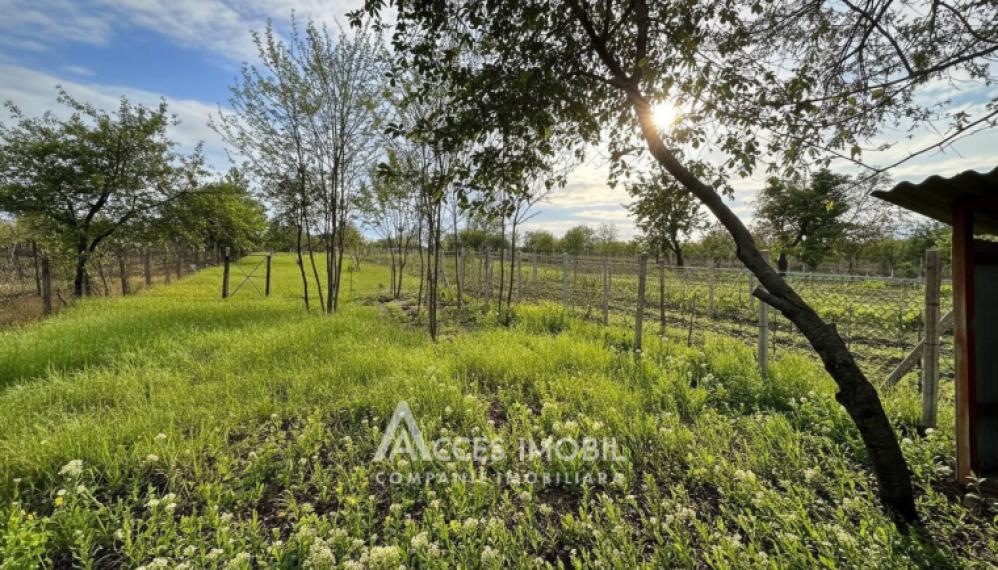 Casă! Strășeni, satul Roșcani, 2 camere + living, 73m2 + 12 ari. Euroreparație!: 15