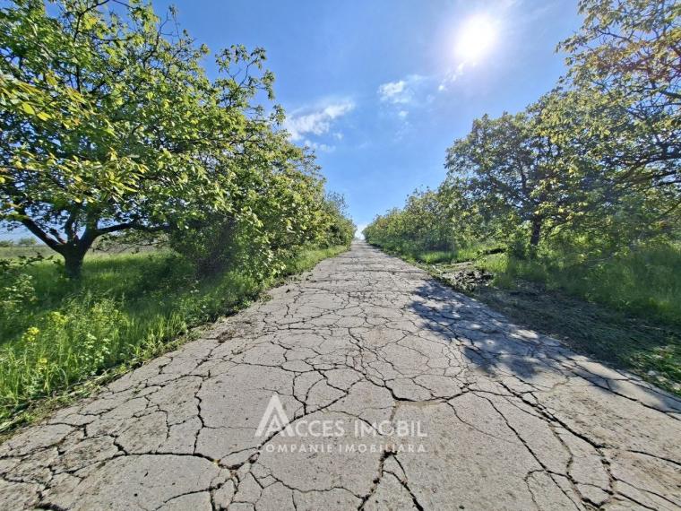 Commercial Land 57 ares! Bubuieci, Ștefan cel Mare Street!: 0