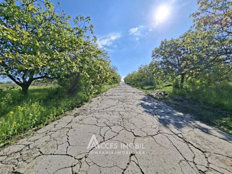 Land for sale in Chisinau: Bubuieci, Stefan cel Mare street