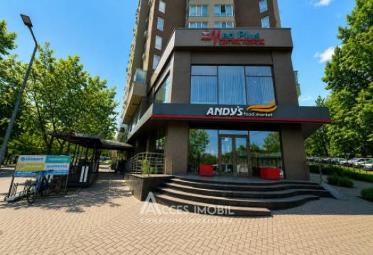 Buiucani, str. Ion Creangă, 2 camere + living. Euroreparație!: 11