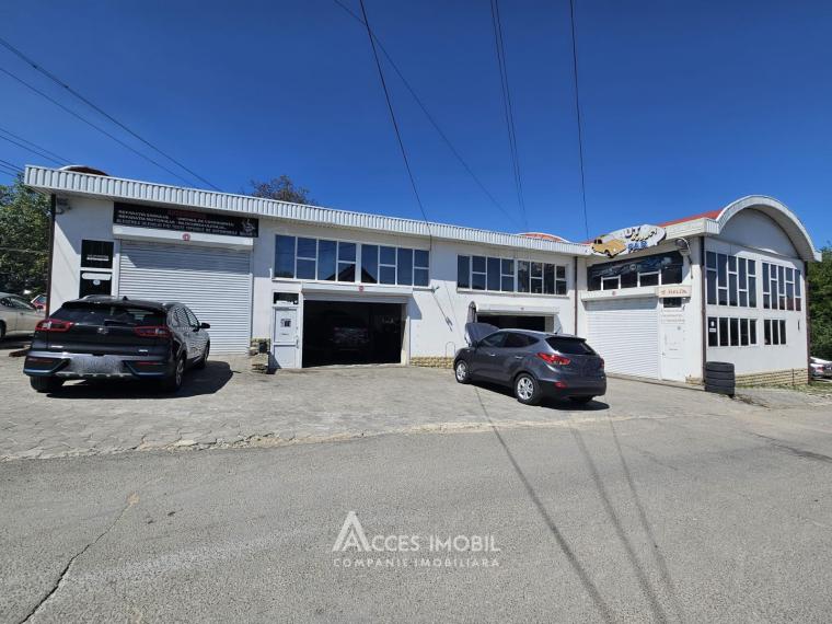 Spațiu Comercial 540m2! Buiucani, str. L. Deleanu! Autonomă!: 0