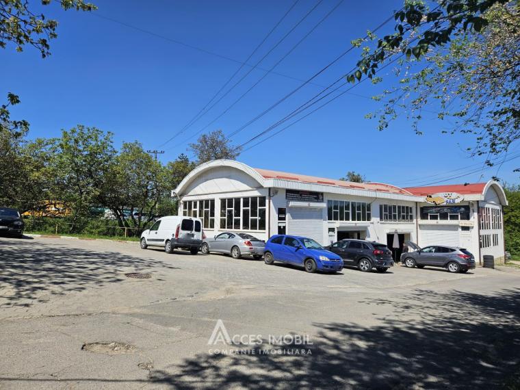 Spațiu Comercial 540m2! Buiucani, str. L. Deleanu! Autonomă!: 7