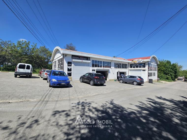 Spațiu Comercial 540m2! Buiucani, str. L. Deleanu! Autonomă!: 8