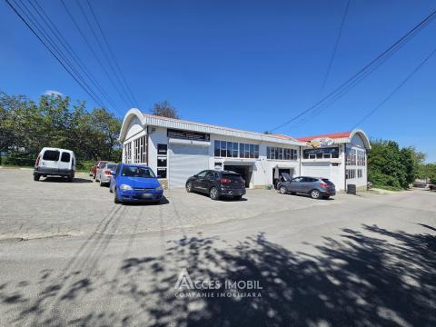 Spațiu Comercial 540m2! Buiucani, str. L. Deleanu! Autonomă!: 8