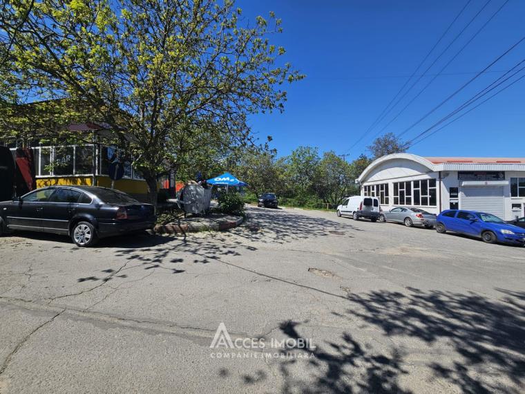Spațiu Comercial 540m2! Buiucani, str. L. Deleanu! Autonomă!: 9