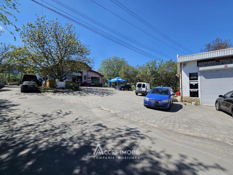 Spațiu Comercial 540m2! Buiucani, str. L. Deleanu! Autonomă!: 11